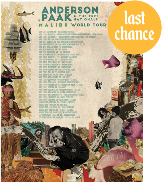 Paak Malibu World Tour 2016 Poster - Anderson Paak Poster (600x600), Png Download