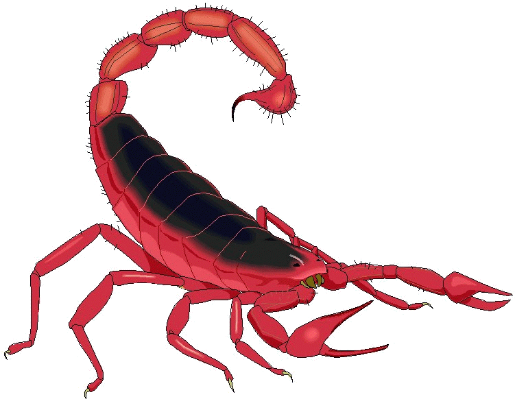 The Earthlife Web The Scorpion Page Savage Logo Transparent - Scorpion Clipart (751x588), Png Download