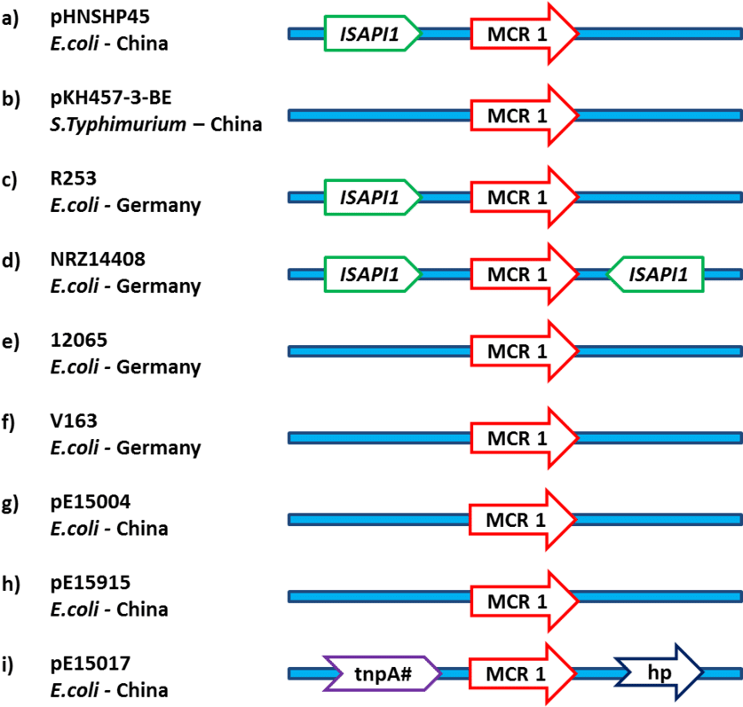 1 Stands For P Lasmid M Ediated C Olistin R Esistance - Number (850x842), Png Download