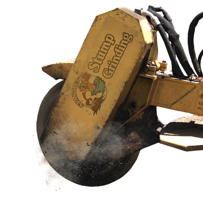 #1 Tree Service Company - Stump Grinder (656x630), Png Download