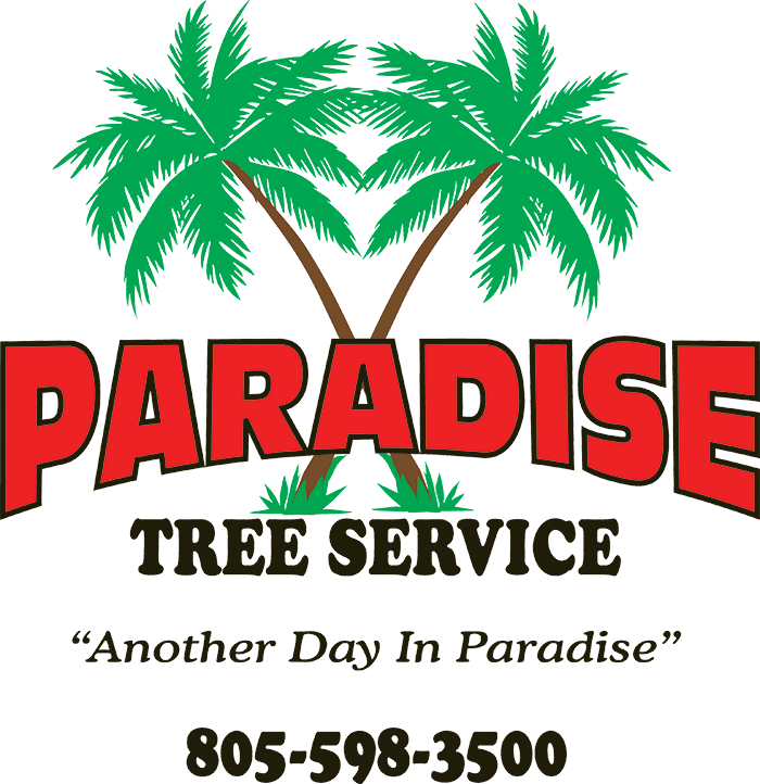 Follow Us Amenu - Paradise Tree Service (700x722), Png Download