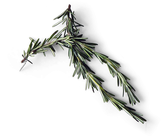 Rosemary - Kitchen (866x650), Png Download