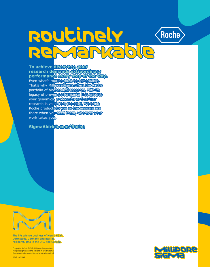 Close Article - Flyer (729x929), Png Download