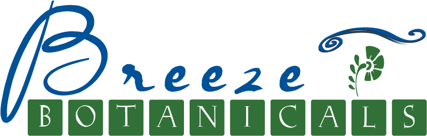 Breeze Type Logo (907x369), Png Download