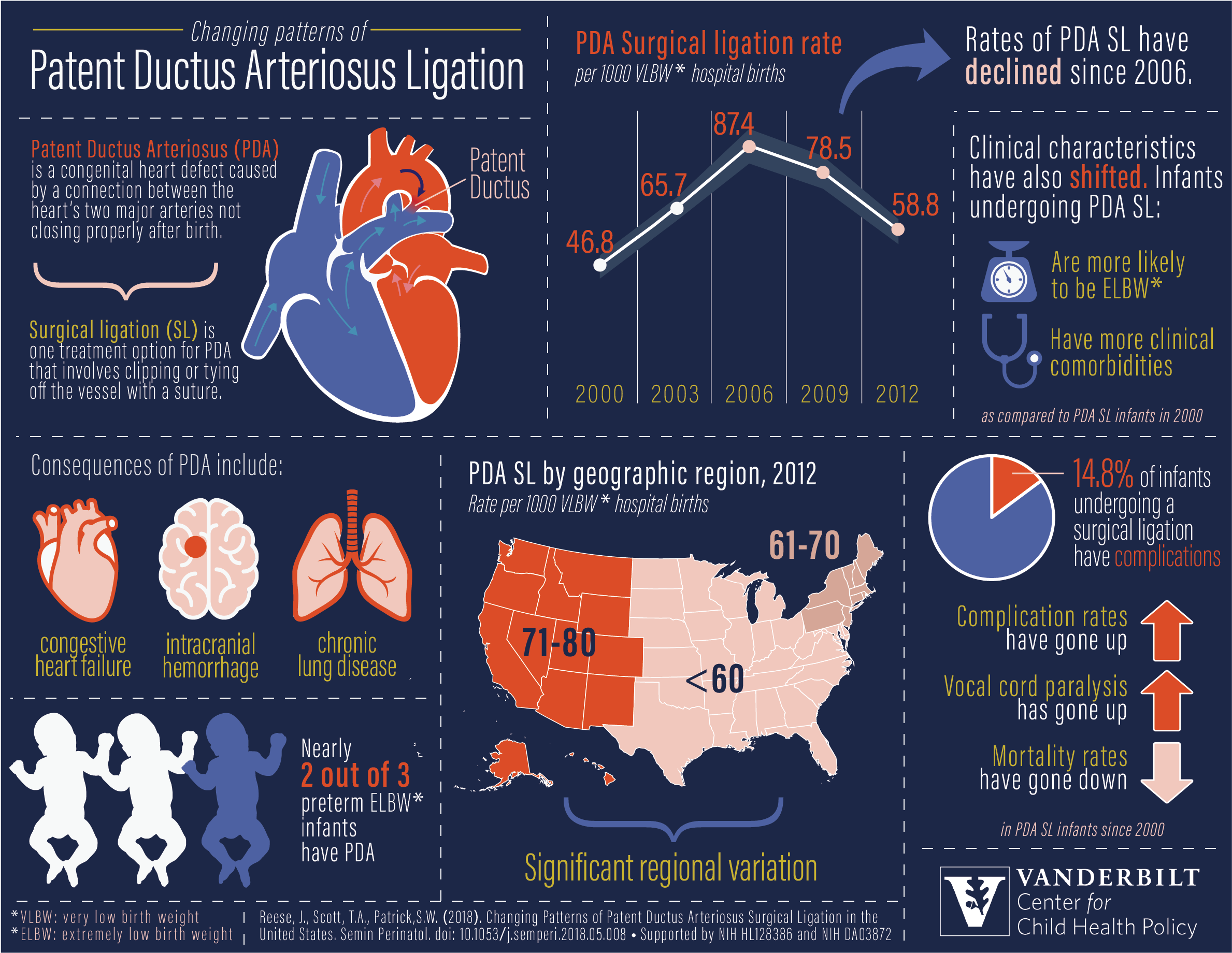 Neonatal Abstinence Syndrome Animated Infographic - Graphic Design (2617x1970), Png Download