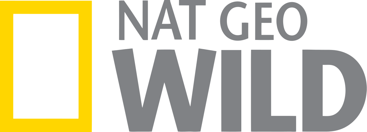 Logo Nat Geo Wild (1200x433), Png Download