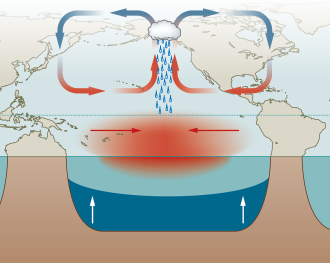During The Rare Phenomenon Known As El Niño Modoki, - El Nino Illustration (660x526), Png Download
