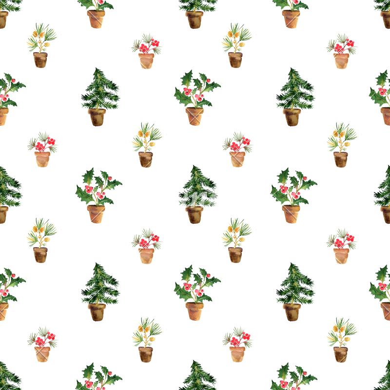 Cute Christmas Patterns - Christmas Day (800x800), Png Download