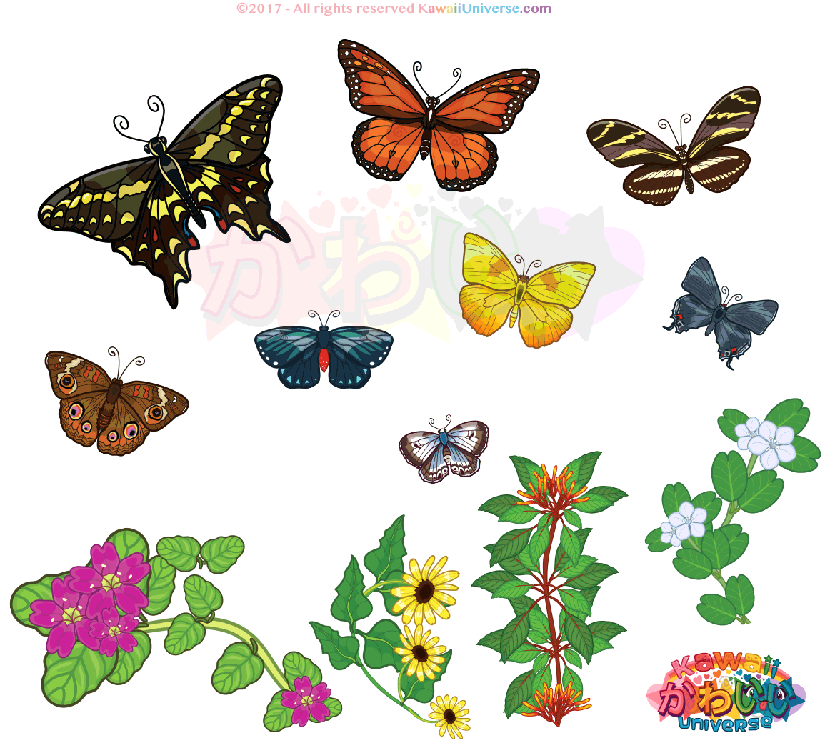 Kawaii Universe Florida Butterflies Animati By Db9ro3k Animated Gif Animation Butterfly Gif Full Size Png Download Seekpng