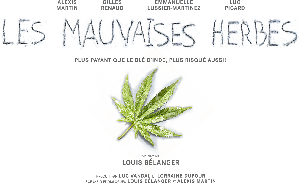 Thumb Image - Bad Seeds (996x605), Png Download