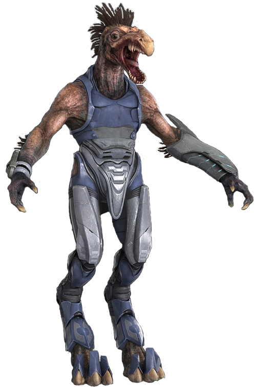 Halo Ruutian (521x775), Png Download