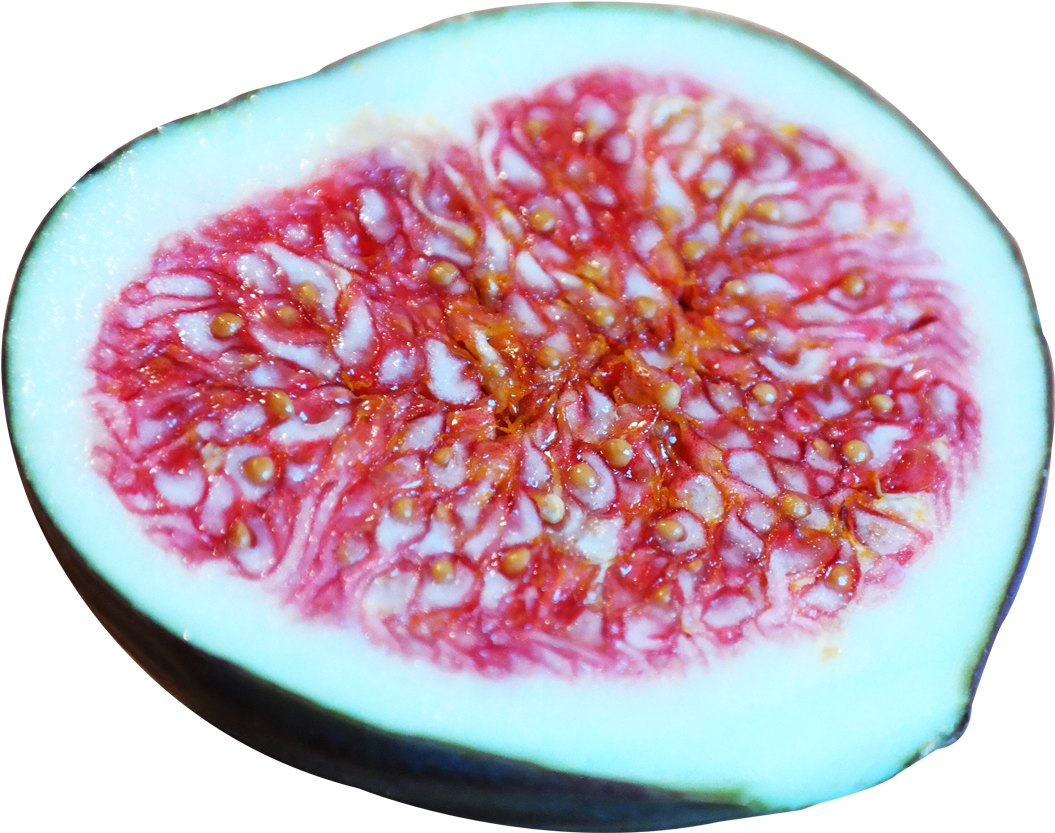 Common Fig (1112x900), Png Download