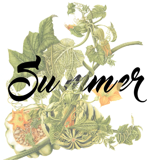 Seasons -01 - Portable Network Graphics (1000x893), Png Download