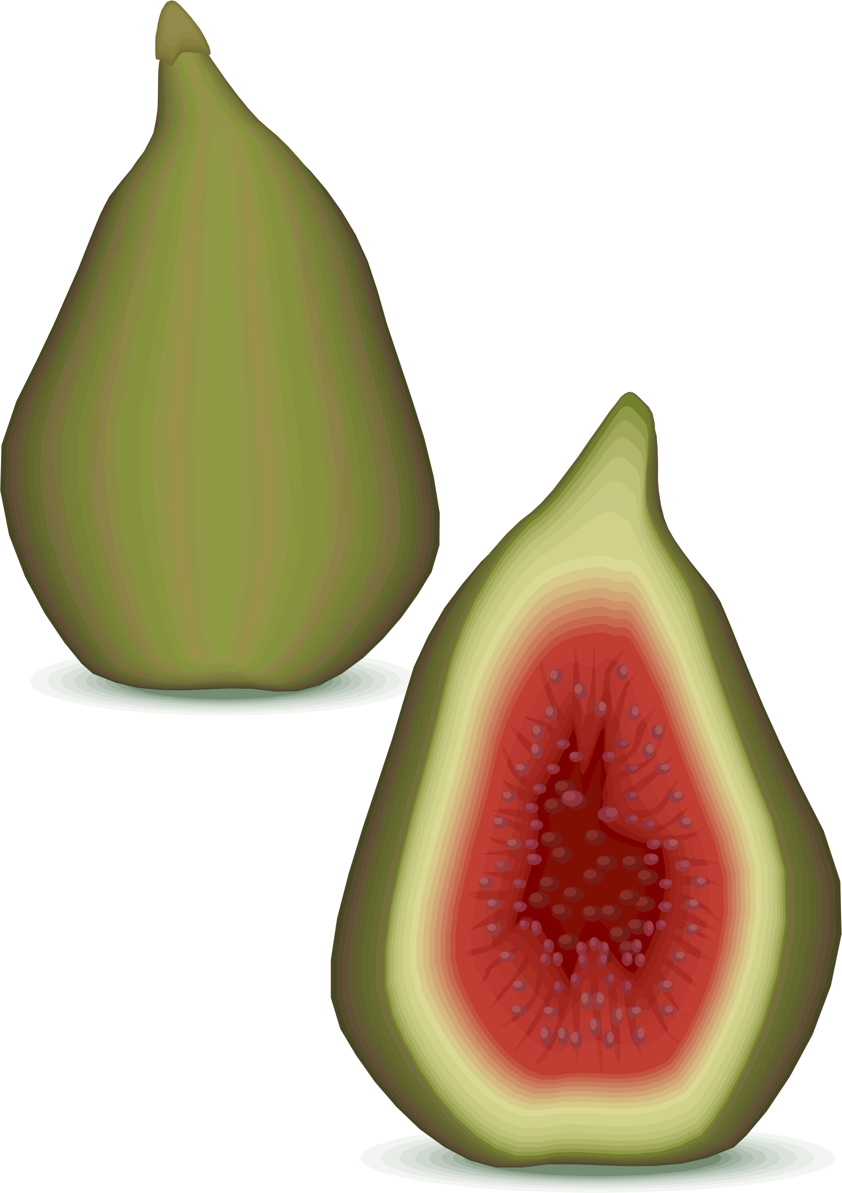 Big Image - Fruit (1648x2335), Png Download