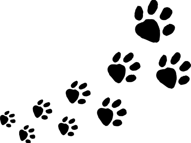 Dog Footprint Png - Dog Footprints Png (640x480), Png Download