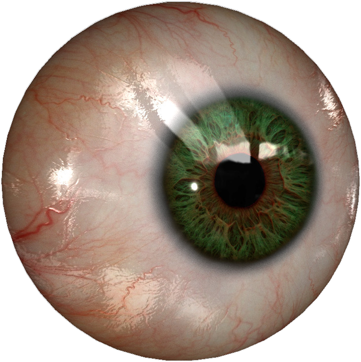 Download Transparent Png - Human Eye Png (1000x1000), Png Download