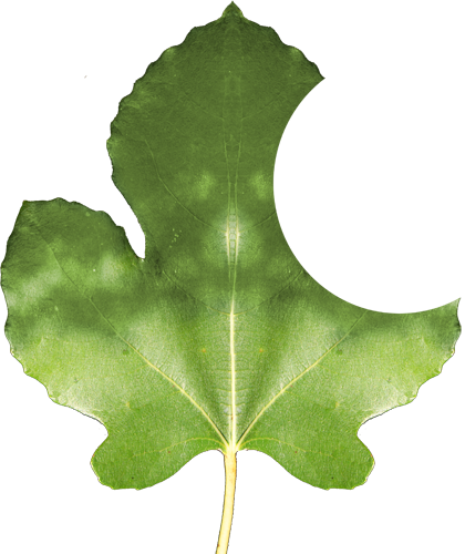 Apple None Computer - Computer (420x500), Png Download