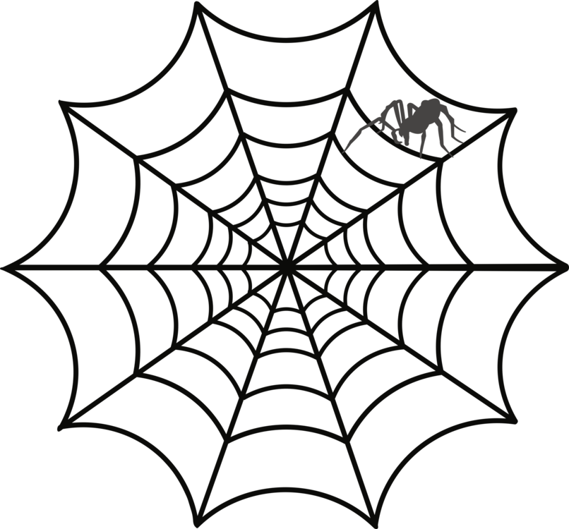 Vector Library Stock Spider Design Australian Funnel - Tela De Araña Dibujo (806x750), Png Download