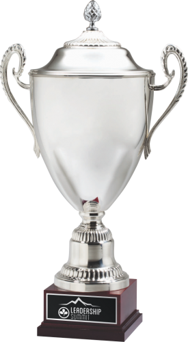 Italian Silver Plated Cup Trophy - Trophy (275x500), Png Download