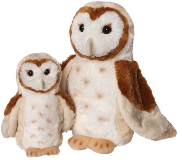 Douglas Rafter Barn Owl - Rafter Barn Owl (600x600), Png Download