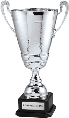 Silver Cup - Trophy (300x400), Png Download