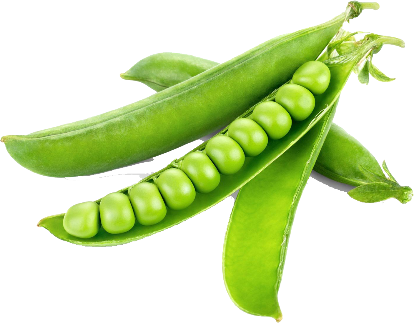 Pea Png Photo - Green Peas (1600x1250), Png Download