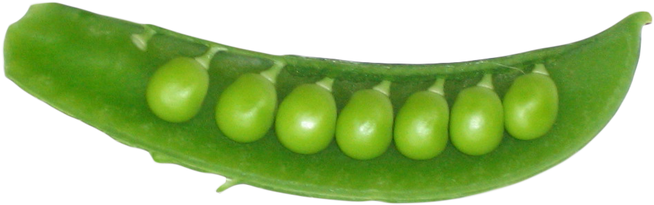 Pea Png - Peas In A Pod Png (1010x396), Png Download