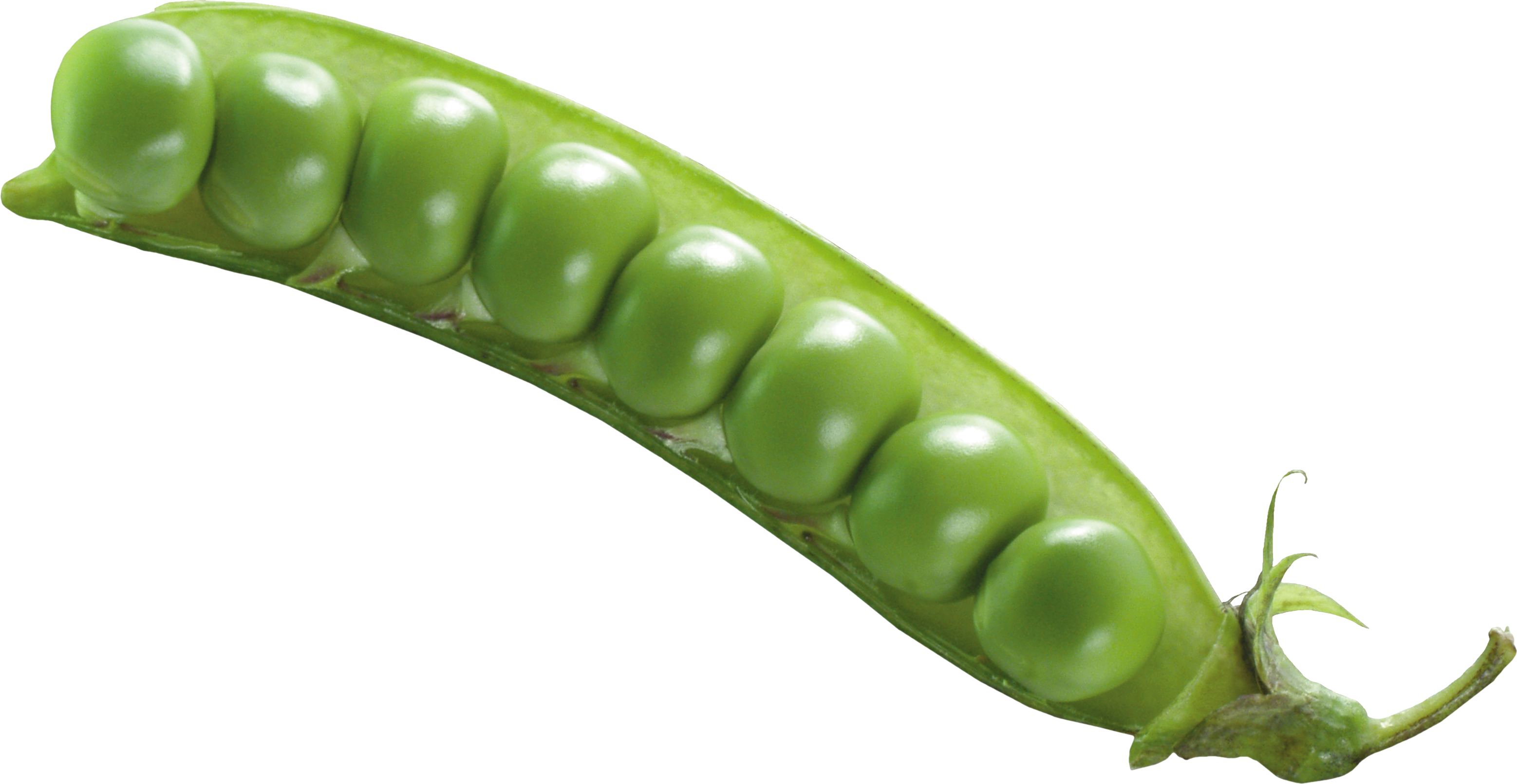 Green Bean No Background (3115x1611), Png Download