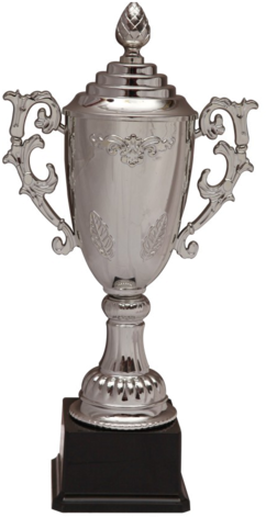 Trophy (500x500), Png Download