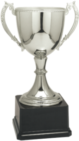 Solid Metal Cup Perpetual Trophy (500x500), Png Download