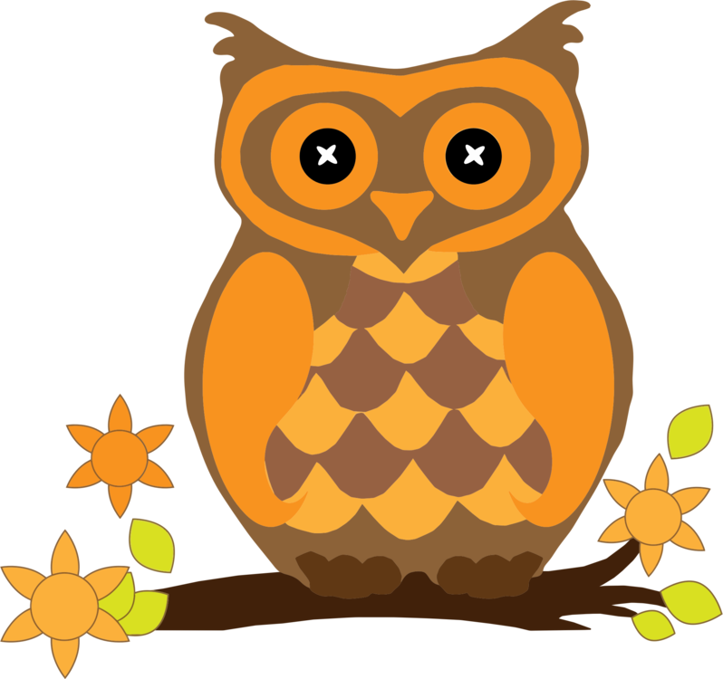 Barn Owl Drawing Download - Cute Owl Shower Curtain (798x750), Png Download