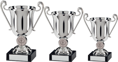 Champions Silver Plastic Cup 155mm (464x348), Png Download