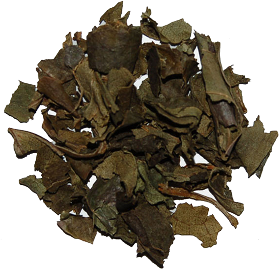 Abundant In Vitamins A & C, Persimmon Leaves Help Prevent - Bancha (591x591), Png Download