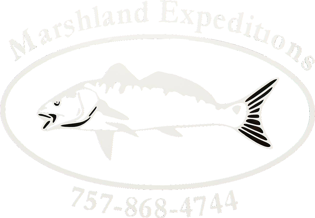 Friday & Saturday's Starting M - Bass (2048x1370), Png Download