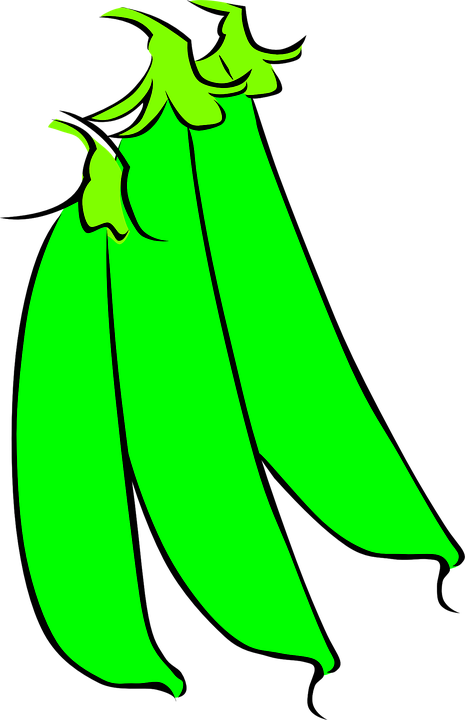 Peas Clipart Snow Pea - Snow Pea Clip Art (465x720), Png Download