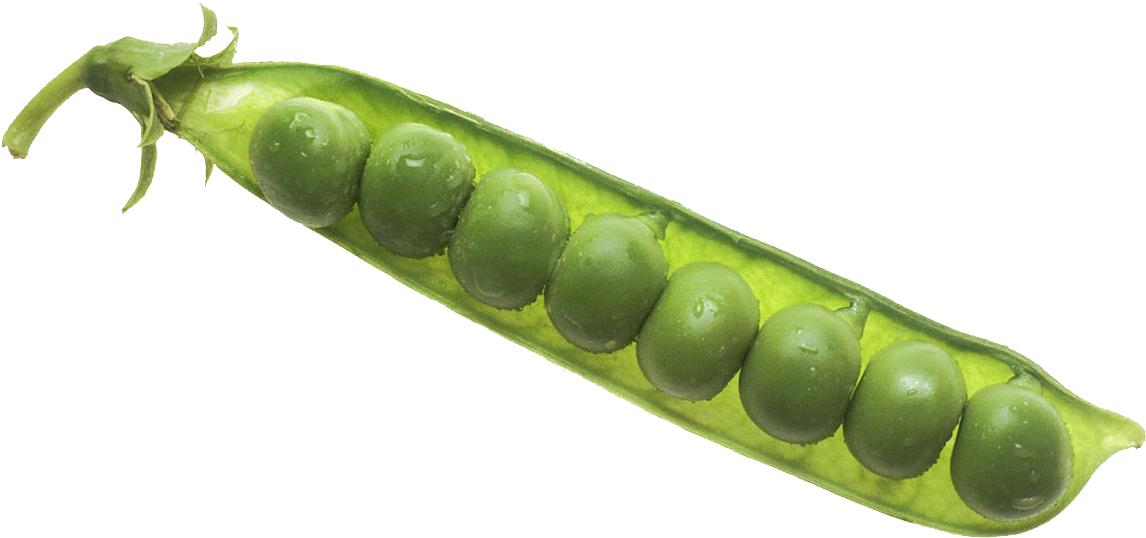 Pea Pod Png (1200x607), Png Download