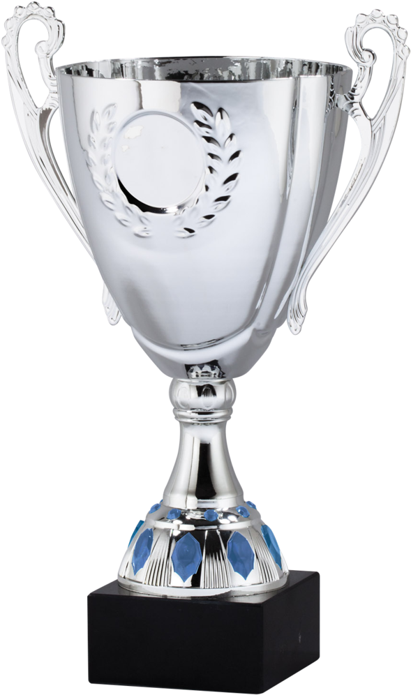 Silver/blue Cup Trophy - Viking Awards Inc (621x1024), Png Download