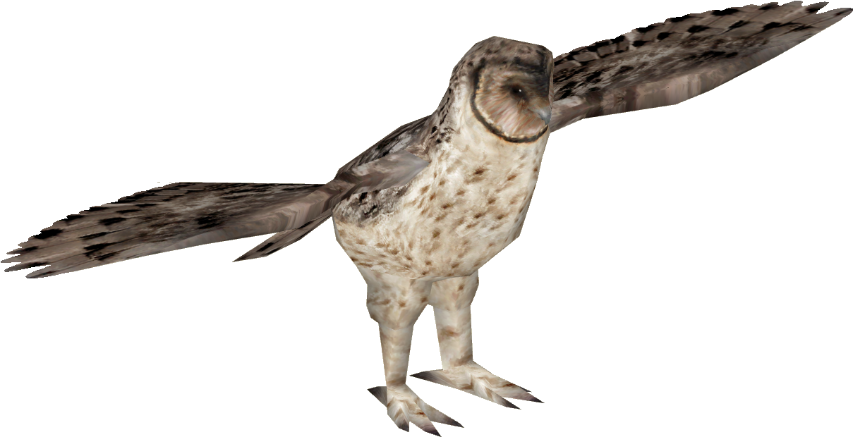 Australian Masked Owl 4 - Eastern Whip Poor Will (1208x1208), Png Download