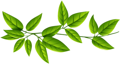 Green Leaves Background Png (400x400), Png Download