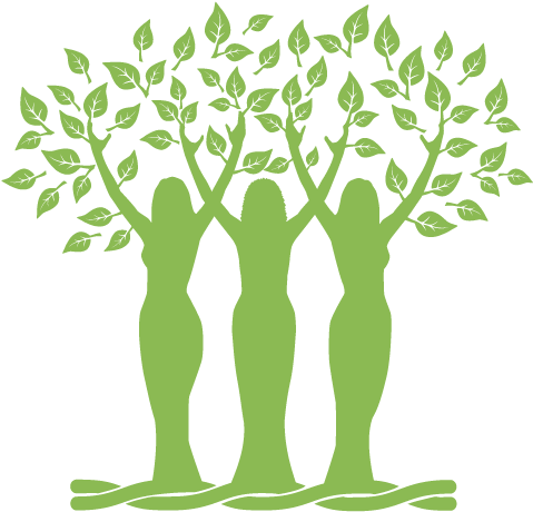 Allies For Plants And People - Plants And People (524x531), Png Download