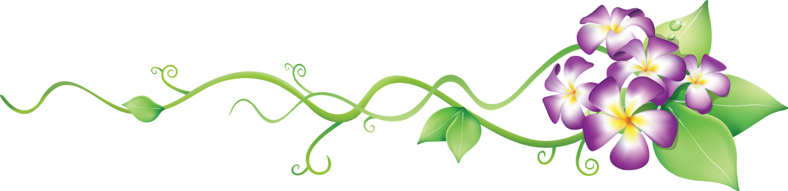 Awesome Kwiaty Clipart Clipart Images, Flower Bouquets, - Flower Decor Cliparts (1600x389), Png Download