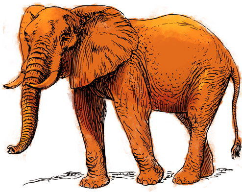 Emoji Copy Paste Music Note The Emoji - African Elephant Shower Curtain (500x391), Png Download