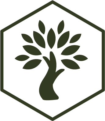 Olive Wellness Institute (354x401), Png Download