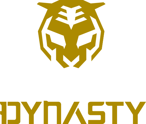 Jersey - Overwatch League Seoul Dynasty (480x410), Png Download
