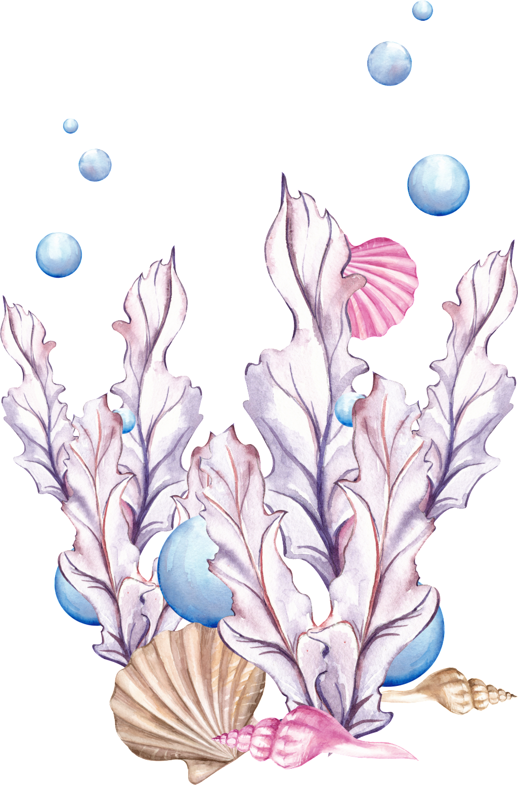 This Backgrounds Is Water And Grass Cartoon Transparent - Clipart Seashorse (1024x1552), Png Download