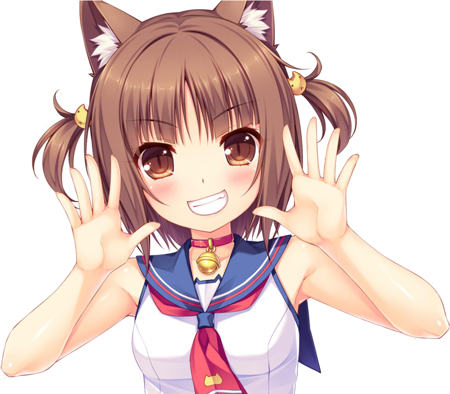 Nekopara Azuki (1008x792), Png Download