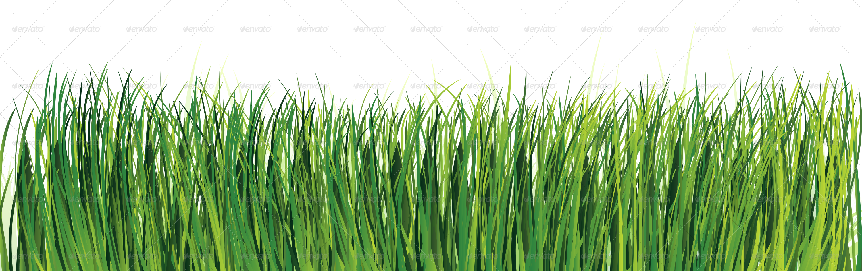 Conceptual Vectors - Sweet Grass (3000x944), Png Download