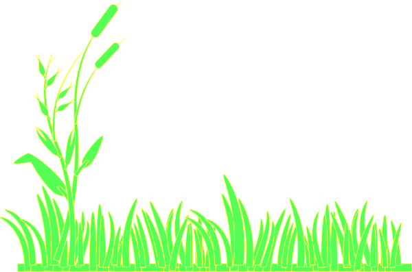 Green Grass Clip Art - Grass Clipart Black Background (600x397), Png Download