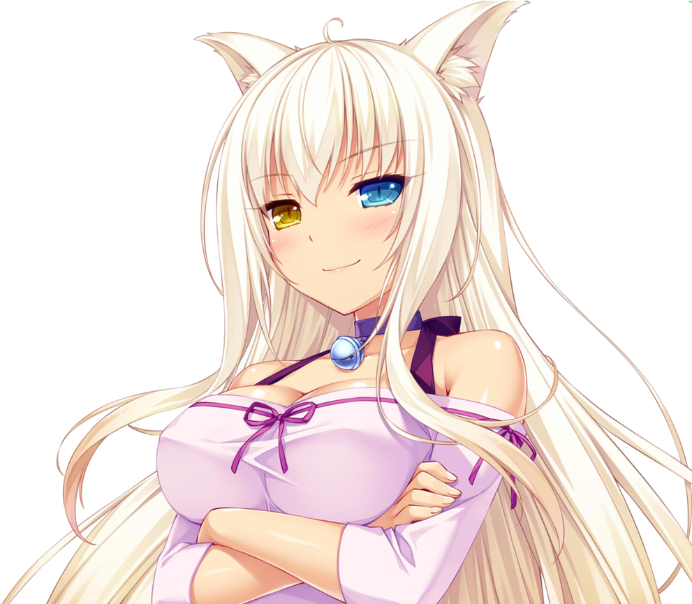 Nekopara Coconuts Render By Squallala1337 - Coconut Nekopara Png (973x821), Png Download