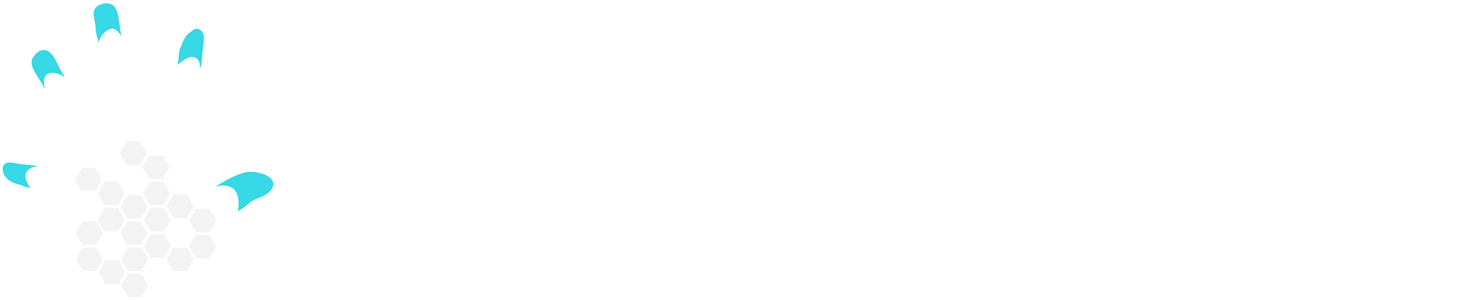 Pamela Games (2461x562), Png Download